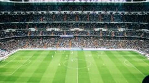 2028年洛杉矶奥运新增壁球、腰旗橄榄球等五项运动，中新网揭晓