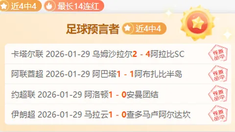 2025年Tennis123年度盛宴圆满收官，176强选手竞技热情高涨