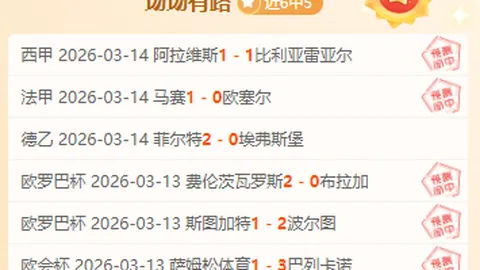 绝壁艺术：攀岩者的巧妙线路设计