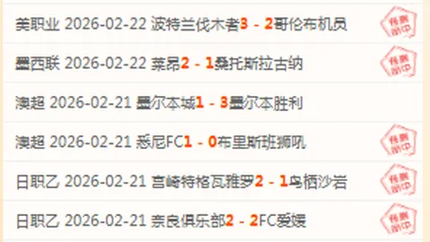 德甲保级战：15胜10负主场对决，探花队实力分析